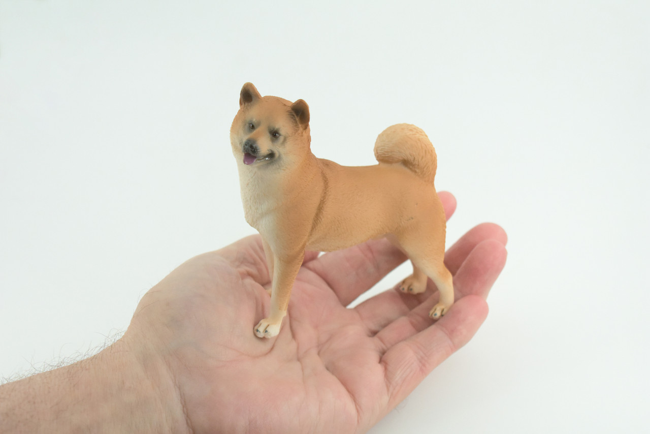 Shiba Inu Dog, Male, Museum Quality, Hand Painted, Educational, Rubber Canine, Realistic, K9, Diorama, Toys, Kids, Gift, 4 Inches. CH789 BB186