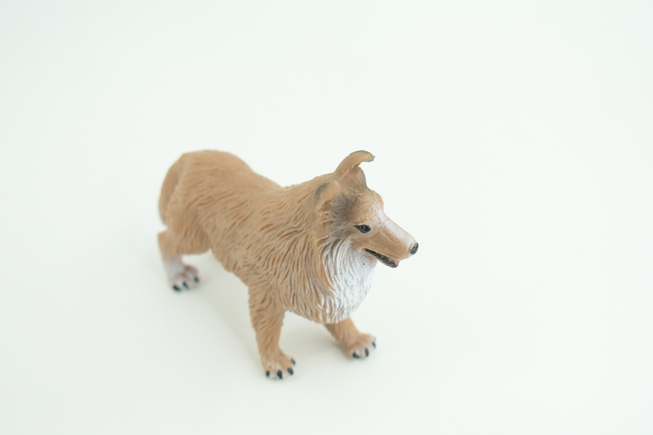 Collie Dog, Very Nice Quality, Hand Painted, Educational, Rubber Canine, Realistic, K9, Diorama, Toys, Kids, Gift,   4 Inches.  CH790 BB186