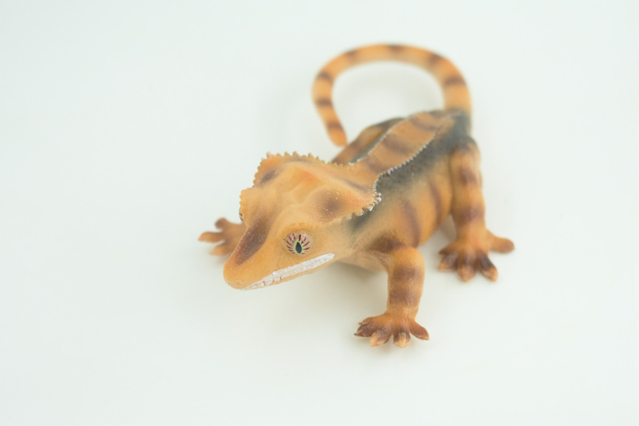 Crested Gecko, Eyelash Gecko, Museum Quality, Educational, Hand Painted, Rubber Lizard, Realistic Reptile, Diorama, Toy, Kids, Gift,   5 1/2 Inches.  CH792 BB186