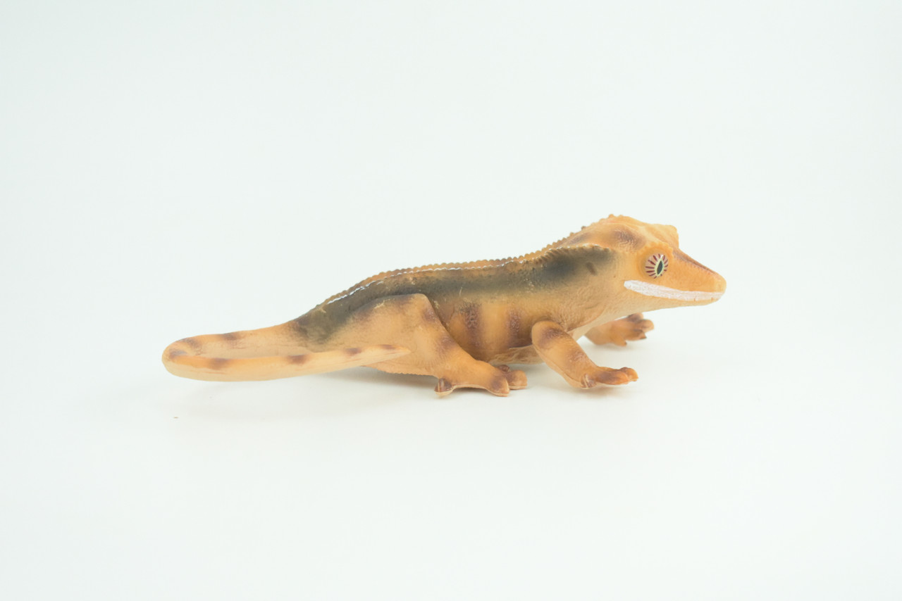 Crested Gecko, Eyelash Gecko, Museum Quality, Educational, Hand Painted, Rubber Lizard, Realistic Reptile, Diorama, Toy, Kids, Gift,   5 1/2 Inches.  CH792 BB186