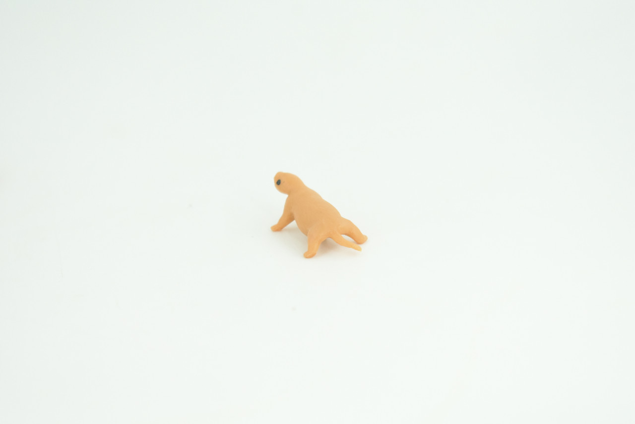 Black Bear Life Cycle, 4 Piece Set, Museum Quality, Hand Painted, Educational, Rubber, Realistic, Diorama, Toys, Kids, Gift,   4 Inches.  CH794 BB187