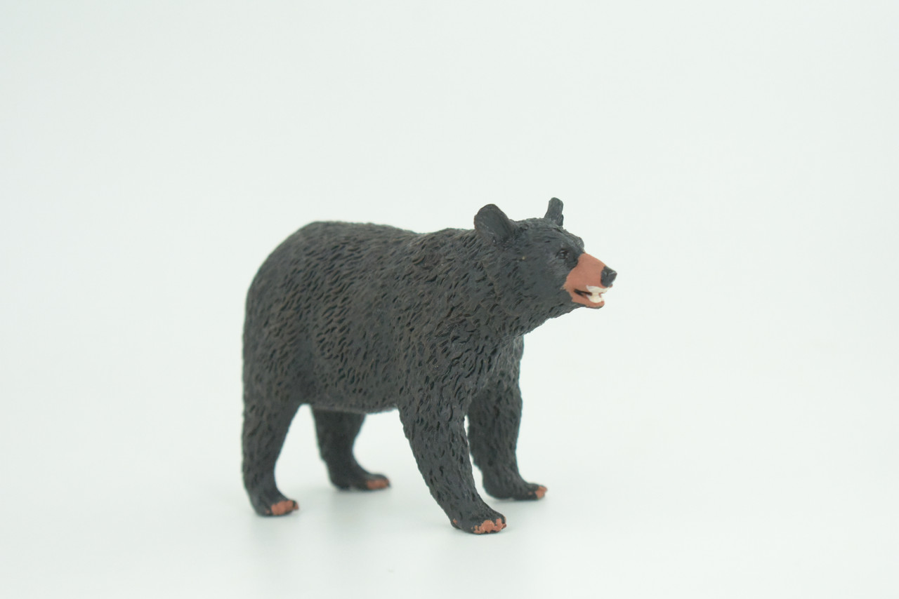 Black Bear Life Cycle, 4 Piece Set, Museum Quality, Hand Painted, Educational, Rubber, Realistic, Diorama, Toys, Kids, Gift,   4 Inches.  CH794 BB187