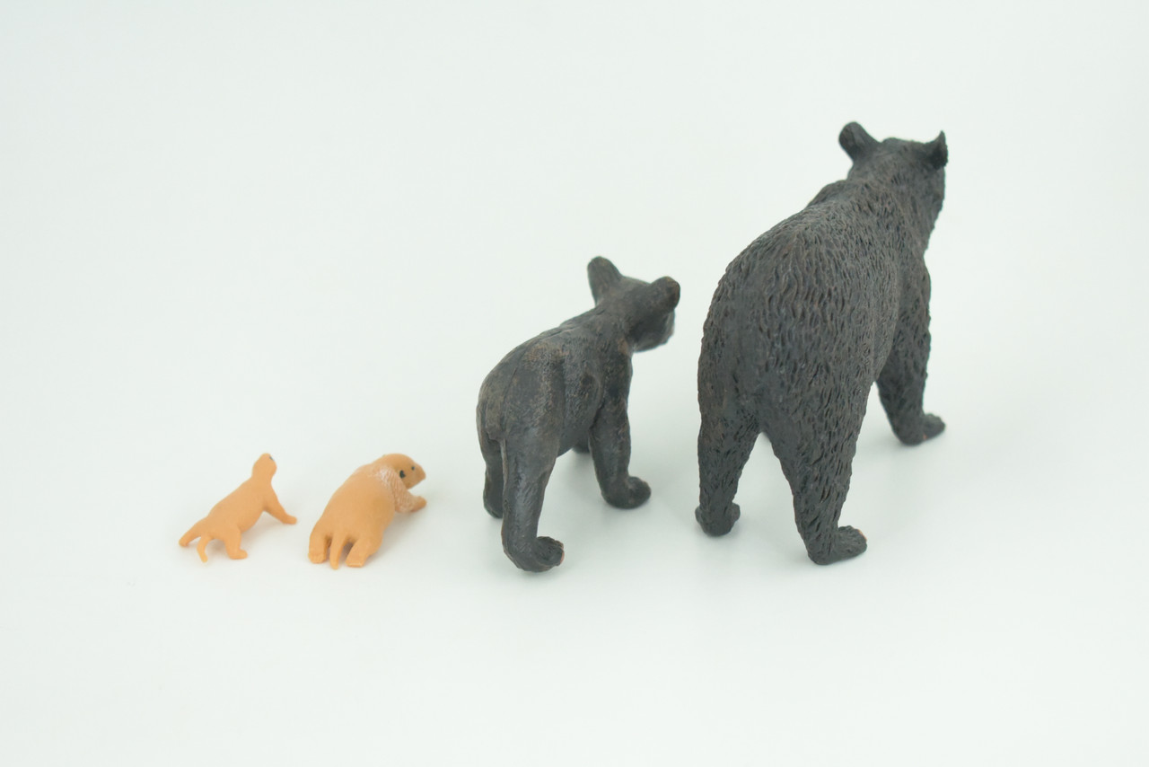 Black Bear Life Cycle, 4 Piece Set, Museum Quality, Hand Painted, Educational, Rubber, Realistic, Diorama, Toys, Kids, Gift,   4 Inches.  CH794 BB187