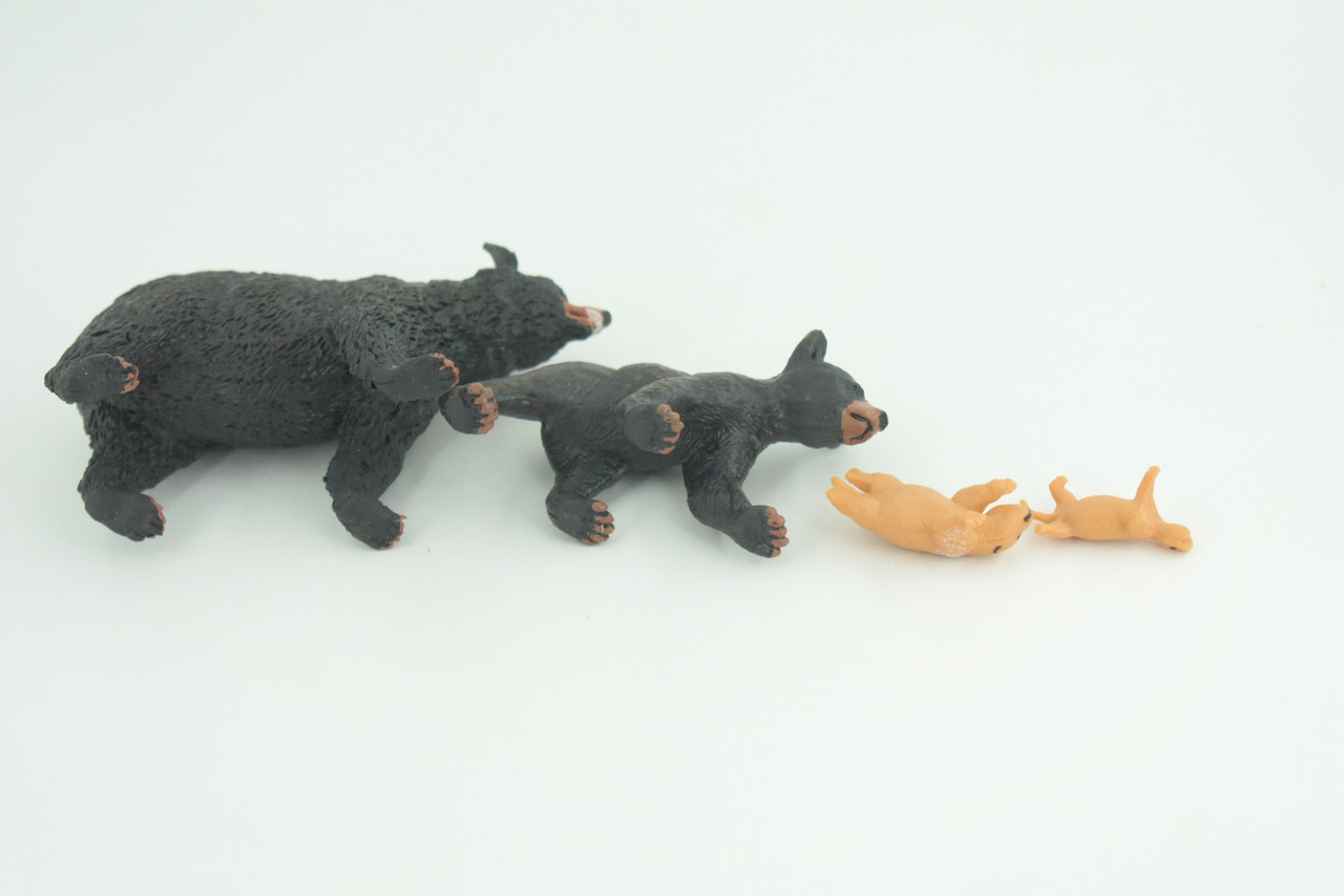 Black Bear Life Cycle, 4 Piece Set, Museum Quality, Hand Painted, Educational, Rubber, Realistic, Diorama, Toys, Kids, Gift,   4 Inches.  CH794 BB187