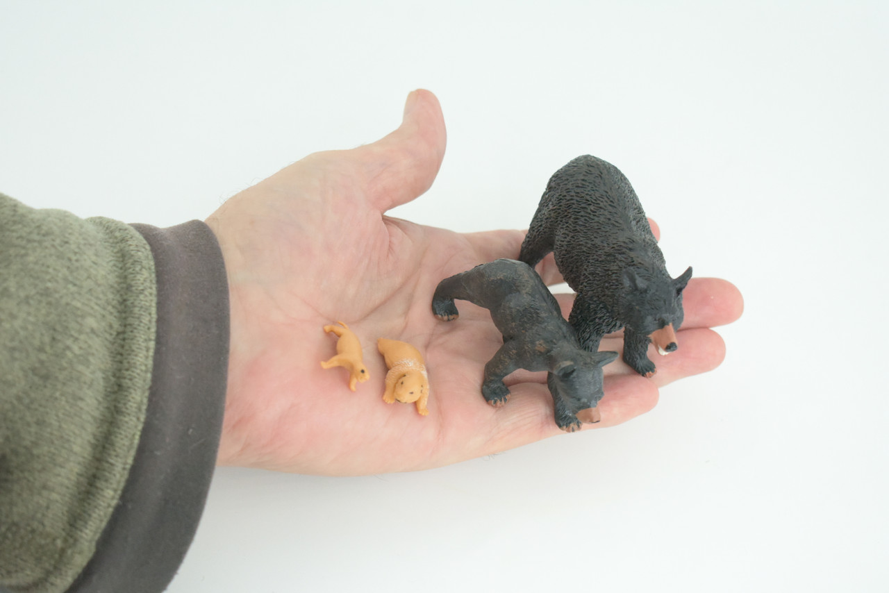 Black Bear Life Cycle, 4 Piece Set, Museum Quality, Hand Painted, Educational, Rubber, Realistic, Diorama, Toys, Kids, Gift, 4 Inches. CH794 BB187