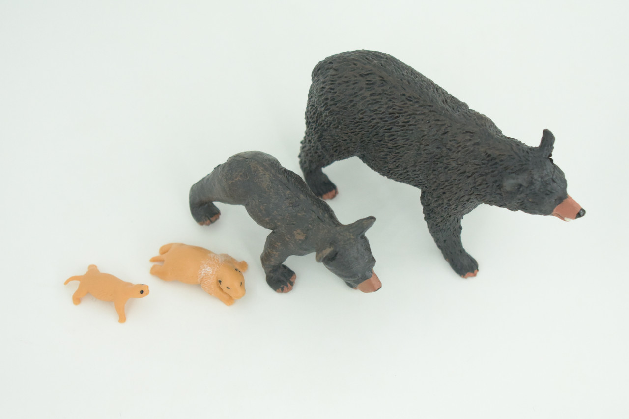 Black Bear Life Cycle, 4 Piece Set, Museum Quality, Hand Painted, Educational, Rubber, Realistic, Diorama, Toys, Kids, Gift,   4 Inches.  CH794 BB187