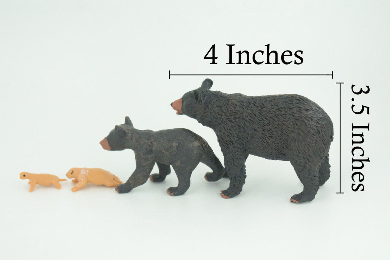 Black Bear Life Cycle, 4 Piece Set, Museum Quality, Hand Painted, Educational, Rubber, Realistic, Diorama, Toys, Kids, Gift, 4 Inches. CH794 BB187