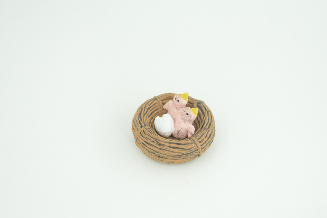 Robin Bird Life Cycle, 4 Piece Set, Museum Quality, Hand Painted, Educational, Rubber, Realistic, Diorama, Toys, Kids, Gift,   3 Inches.  CH797 BB187