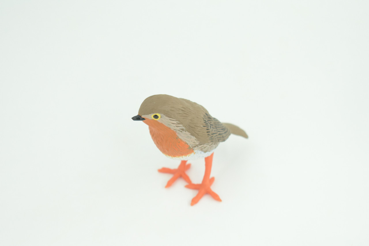 Robin Bird Life Cycle, 4 Piece Set, Museum Quality, Hand Painted, Educational, Rubber, Realistic, Diorama, Toys, Kids, Gift,   3 Inches.  CH797 BB187