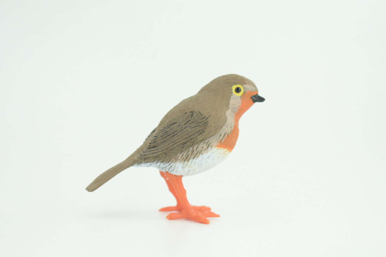 Robin Bird Life Cycle, 4 Piece Set, Museum Quality, Hand Painted, Educational, Rubber, Realistic, Diorama, Toys, Kids, Gift,   3 Inches.  CH797 BB187