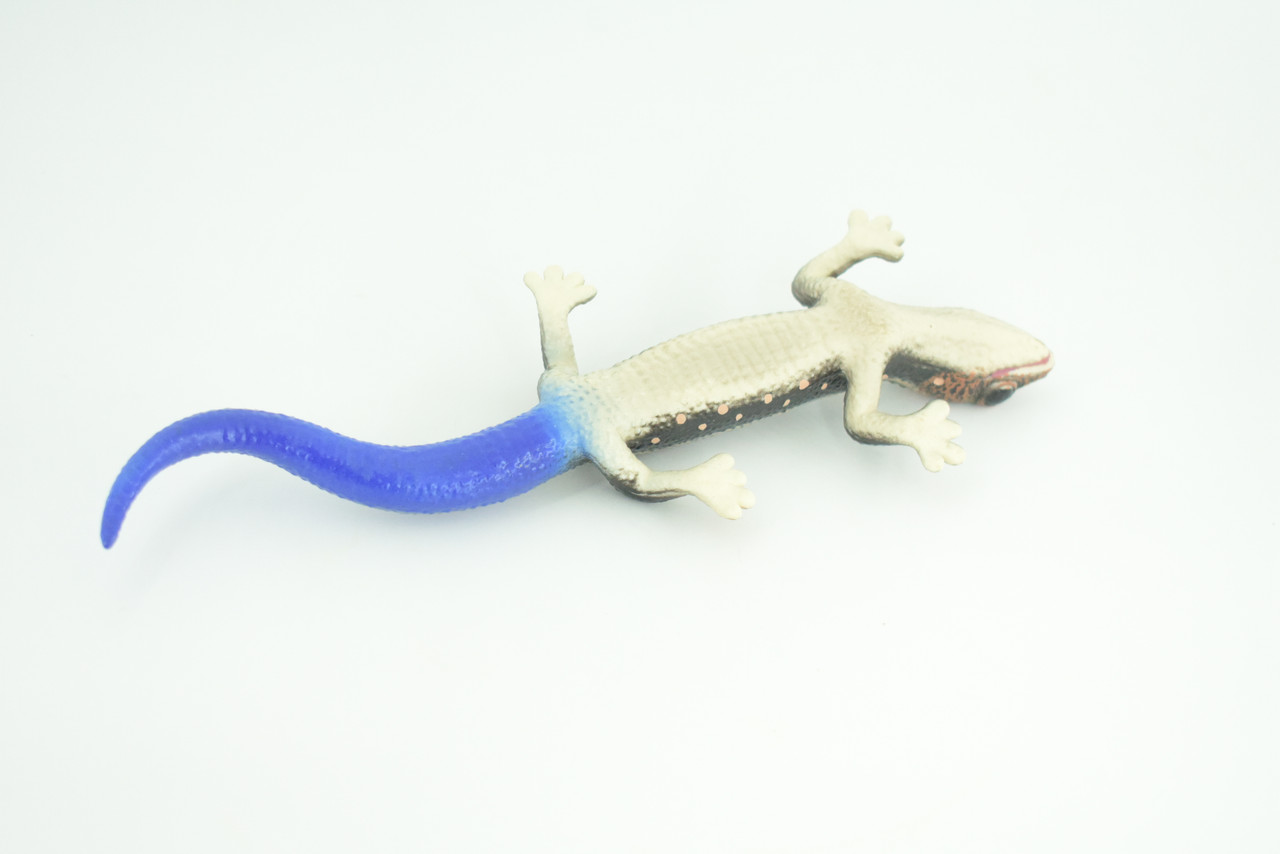 Phelsuma Gecko, Blue-tailed day gecko, Museum Quality, Educational, Hand Painted, Rubber, Realistic Reptile, Diorama, Toy, Kids, Gift,   9 Inches.  CH798 BB187