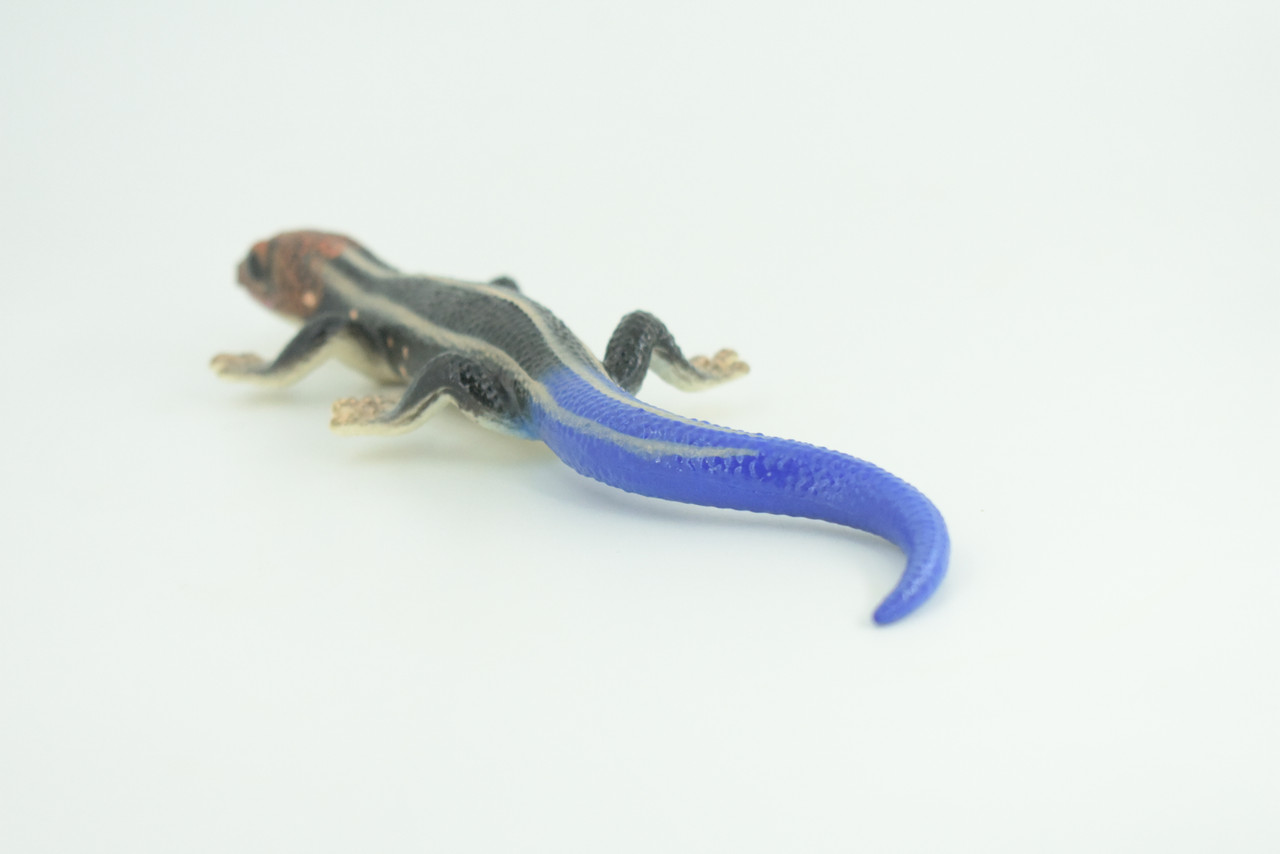 Phelsuma Gecko, Blue-tailed day gecko, Museum Quality, Educational, Hand Painted, Rubber, Realistic Reptile, Diorama, Toy, Kids, Gift,   9 Inches.  CH798 BB187