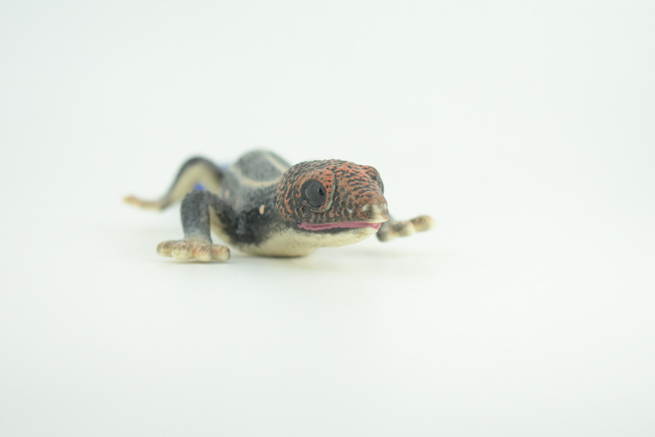 Phelsuma Gecko, Blue-tailed day gecko, Museum Quality, Educational, Hand Painted, Rubber, Realistic Reptile, Diorama, Toy, Kids, Gift,   9 Inches.  CH798 BB187