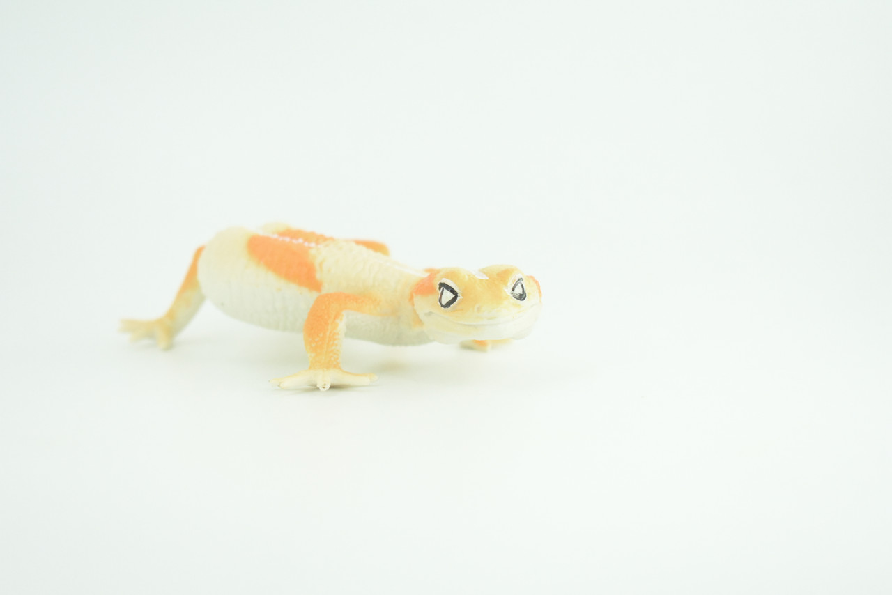Gecko, Museum Quality, Educational, Hand Painted, Rubber Lizard, Peking Gecko, Realistic Reptile, Diorama, Toy, Kids, Gift,   7 Inches.  CH800 BB187