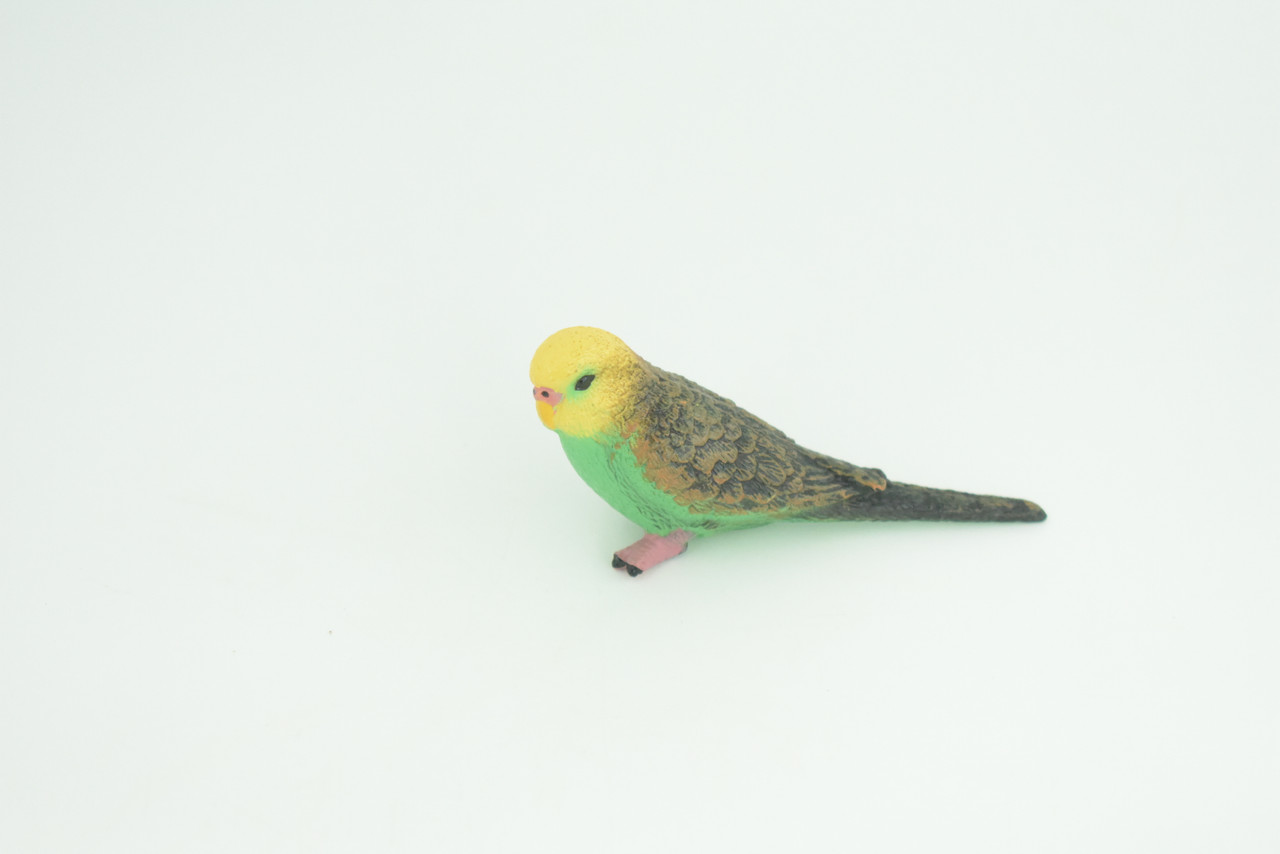 Parrot Life Cycle, 4 Piece Set, Museum Quality, Hand Painted Birds, Educational, Rubber, Realistic, Diorama, Toys, Kids, Gift,   4 Inches.  CH801 BB188