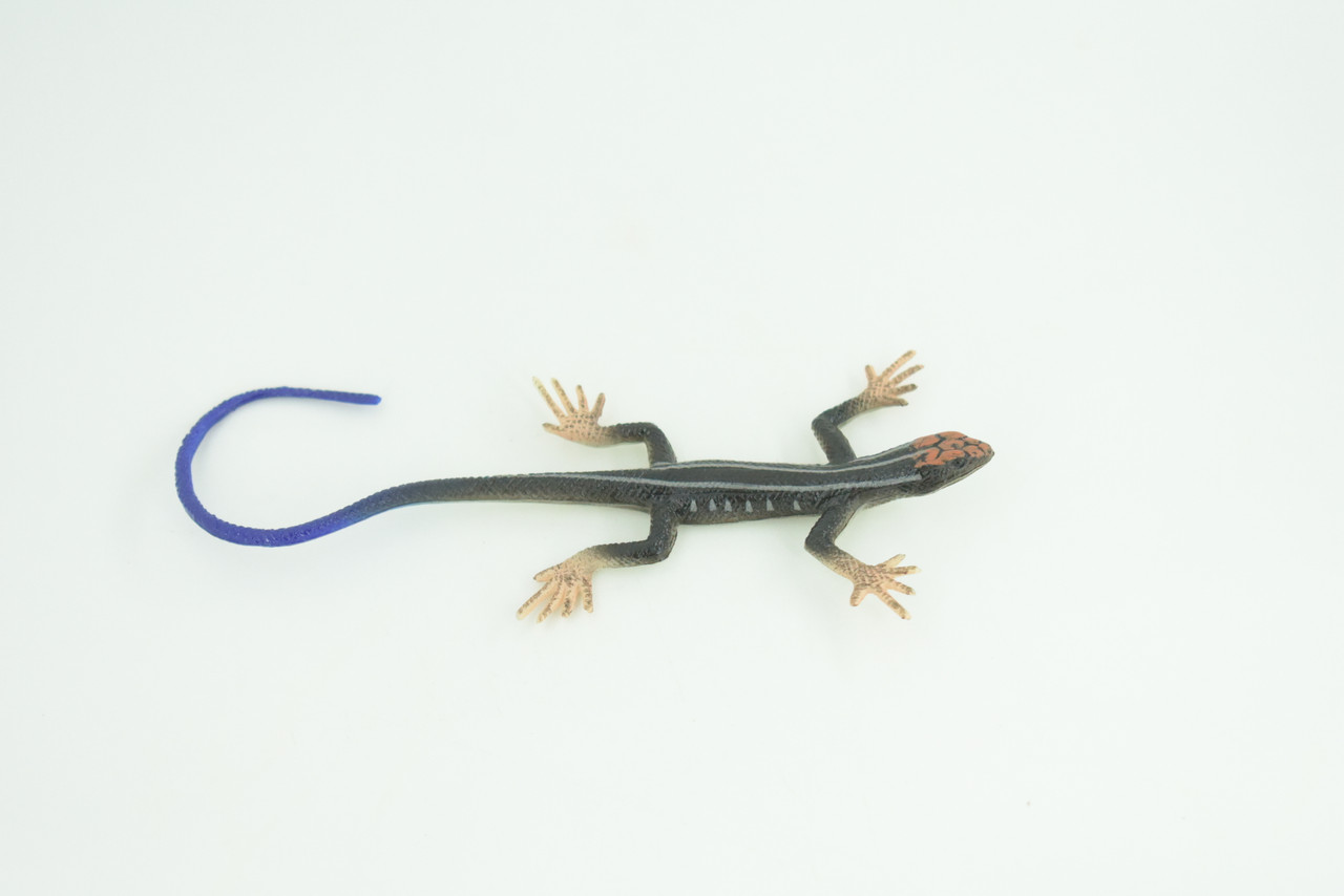 Blue-Tailed Skink Life Cycle, 4 Piece Set, Museum Quality, Hand Painted Reptiles, Educational, Rubber, Realistic, Diorama, Toys, Kids, Gift, 5 Inches. CH803 BB188