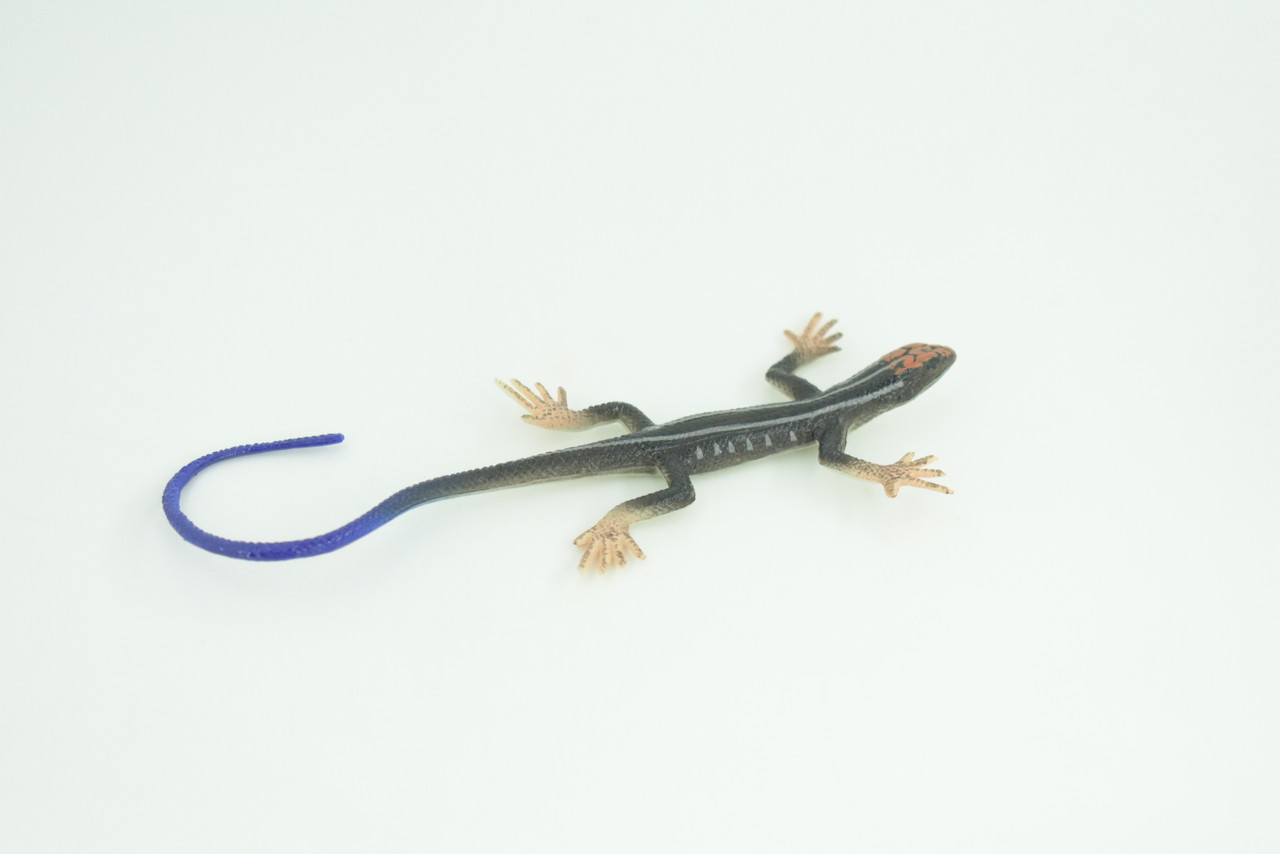Blue-Tailed Skink Life Cycle, 4 Piece Set, Museum Quality, Hand Painted Reptiles, Educational, Rubber, Realistic, Diorama, Toys, Kids, Gift, 5 Inches. CH803 BB188