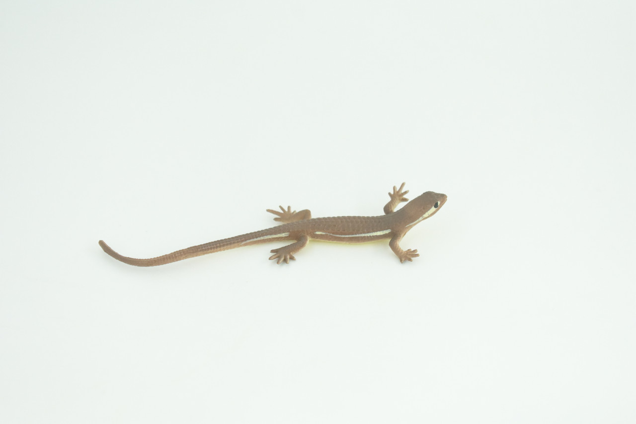 Blue-Tailed Skink Life Cycle, 4 Piece Set, Museum Quality, Hand Painted Reptiles, Educational, Rubber, Realistic, Diorama, Toys, Kids, Gift, 5 Inches. CH803 BB188