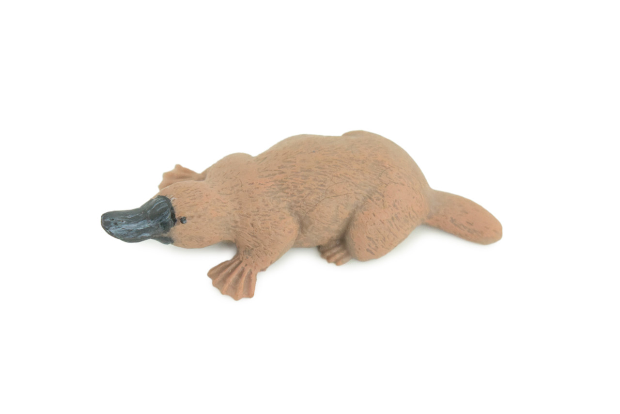 Platypus Duckbill, Very Nice Hard Rubber, Educational, Hand Painted, Australia Animal, Realistic, Diorama, Toy, Kids, Gift, 3 Inches. CH806 BB188 