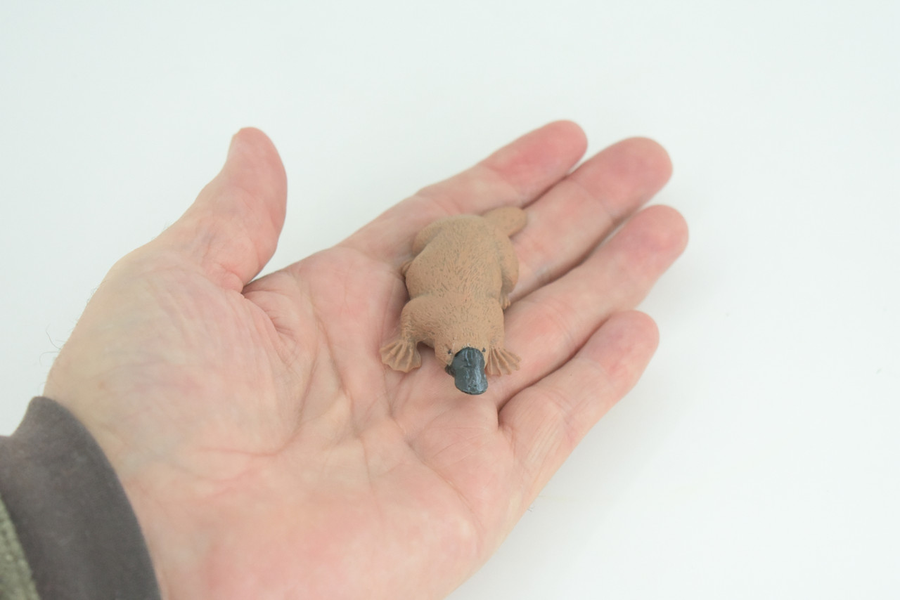 Platypus Duckbill, Very Nice Hard Rubber, Educational, Hand Painted, Australia Animal, Realistic, Diorama, Toy, Kids, Gift, 3 Inches. CH806 BB188 