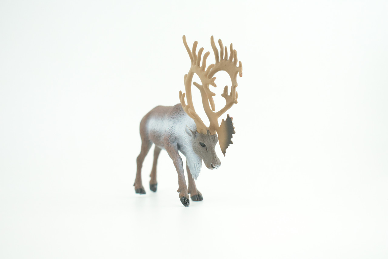 Reindeer, Caribou, Museum Quality, Educational, Hand Painted, Realistic, Rubber Animal, Realistic, Diorama, Toy, Kids, Gift,  4 1/2 Inches.  CH808 BB188 