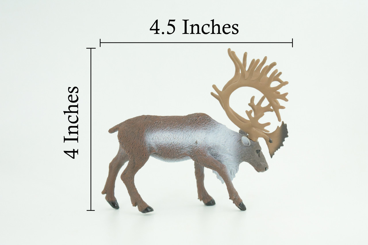 Reindeer, Caribou, Museum Quality, Educational, Hand Painted, Realistic, Rubber Animal, Realistic, Diorama, Toy, Kids, Gift, 4 1/2 Inches. CH808 BB188