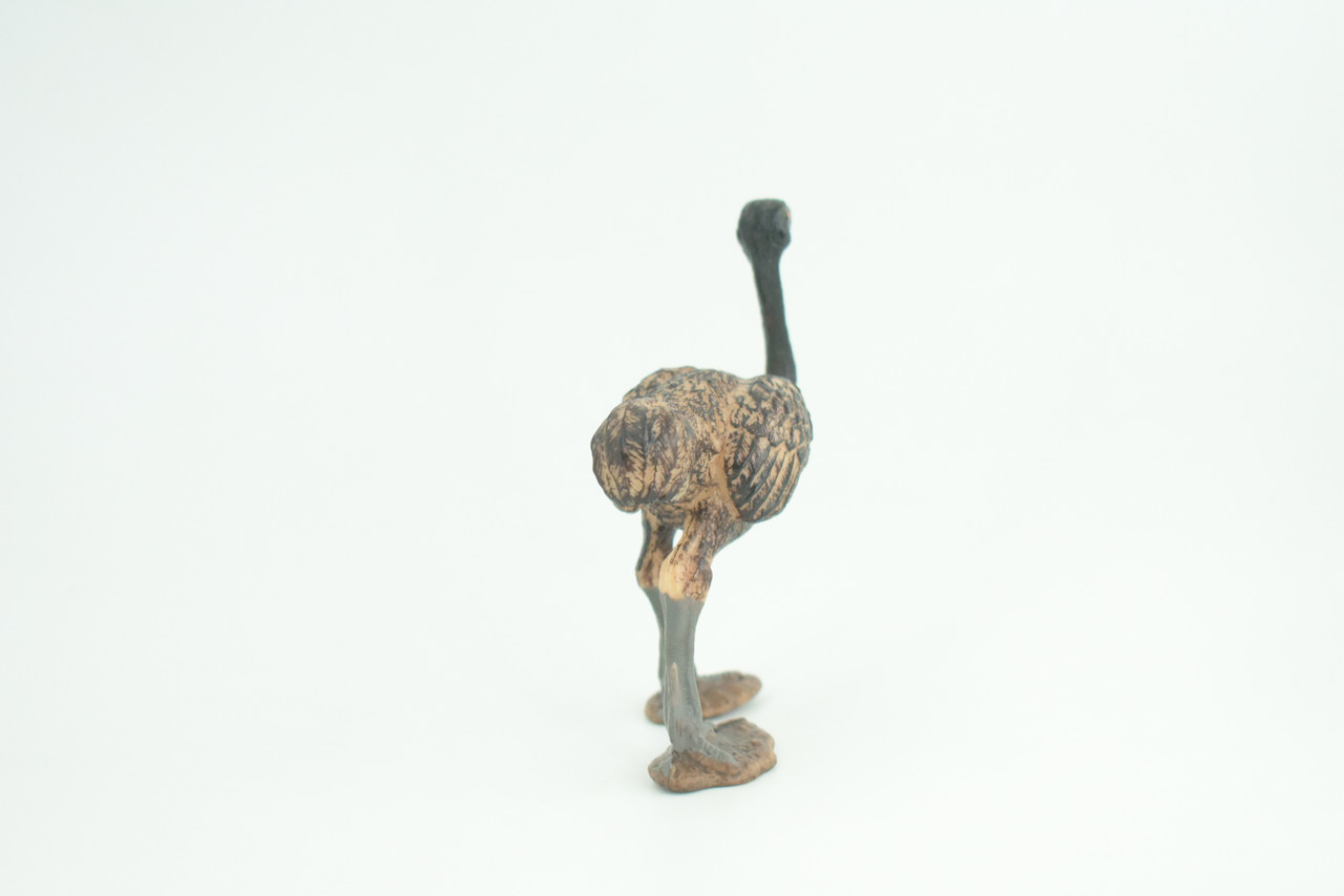 Emu, Museum Quality, Educational, Hand Painted, Realistic, Rubber, Flightless Bird native to Australia, Realistic, Diorama, Toy, Kids, Gift,  3 Inches.  CH810 BB188 