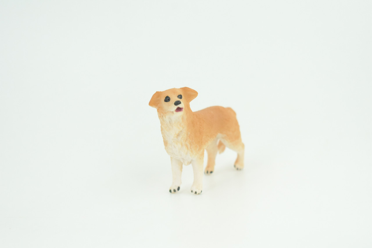 Golden Retriever Dog, Very Nice Quality, Hand Painted, Educational, Rubber Canine, Realistic, K9, Diorama, Toys, Kids, Gift,   2 1/2 Inches.  CH812 BB189