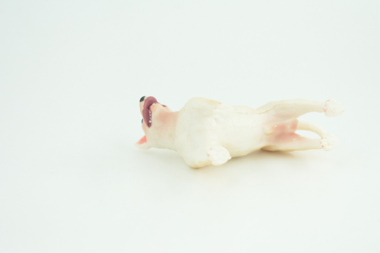 Bull Terrier Dog, Male, Very Nice Quality, Hand Painted, Educational, Rubber Canine, Realistic, K9, Diorama, Toys, Kids, Gift,   3 Inches.  CH814 BB189 