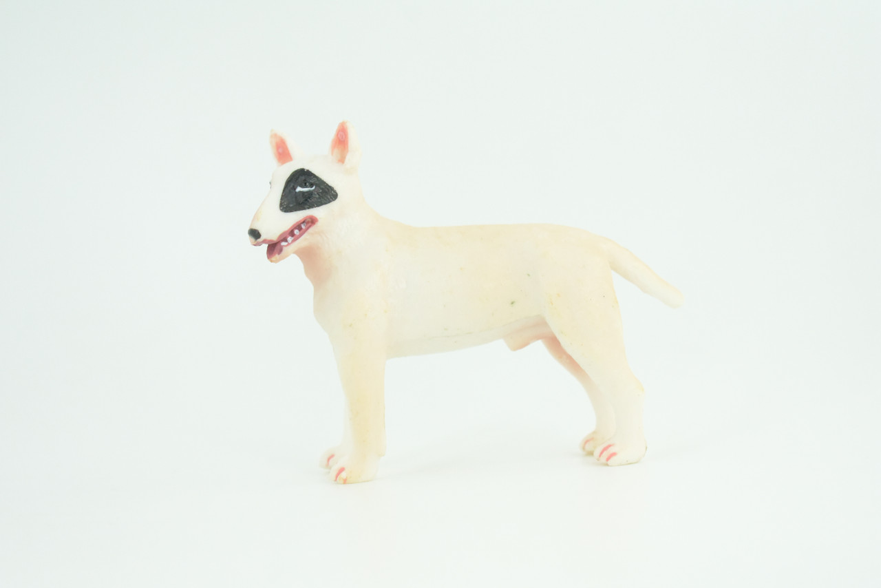 Bull Terrier Dog, Male, Very Nice Quality, Hand Painted, Educational, Rubber Canine, Realistic, K9, Diorama, Toys, Kids, Gift,   3 Inches.  CH814 BB189 