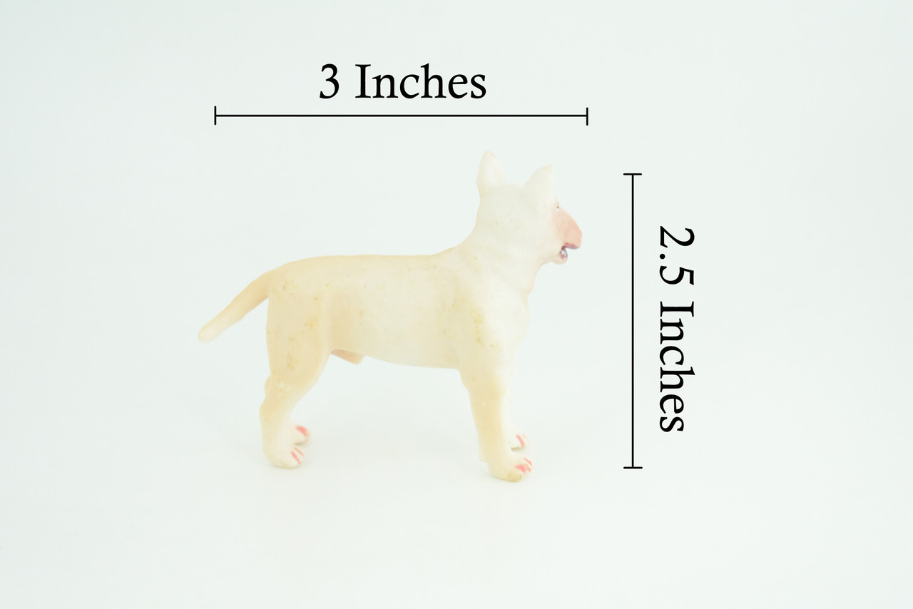  Bull Terrier Dog, Male, Very Nice Quality, Hand Painted, Educational, Rubber Canine, Realistic, K9, Diorama, Toys, Kids, Gift, 3 Inches. CH814 BB189