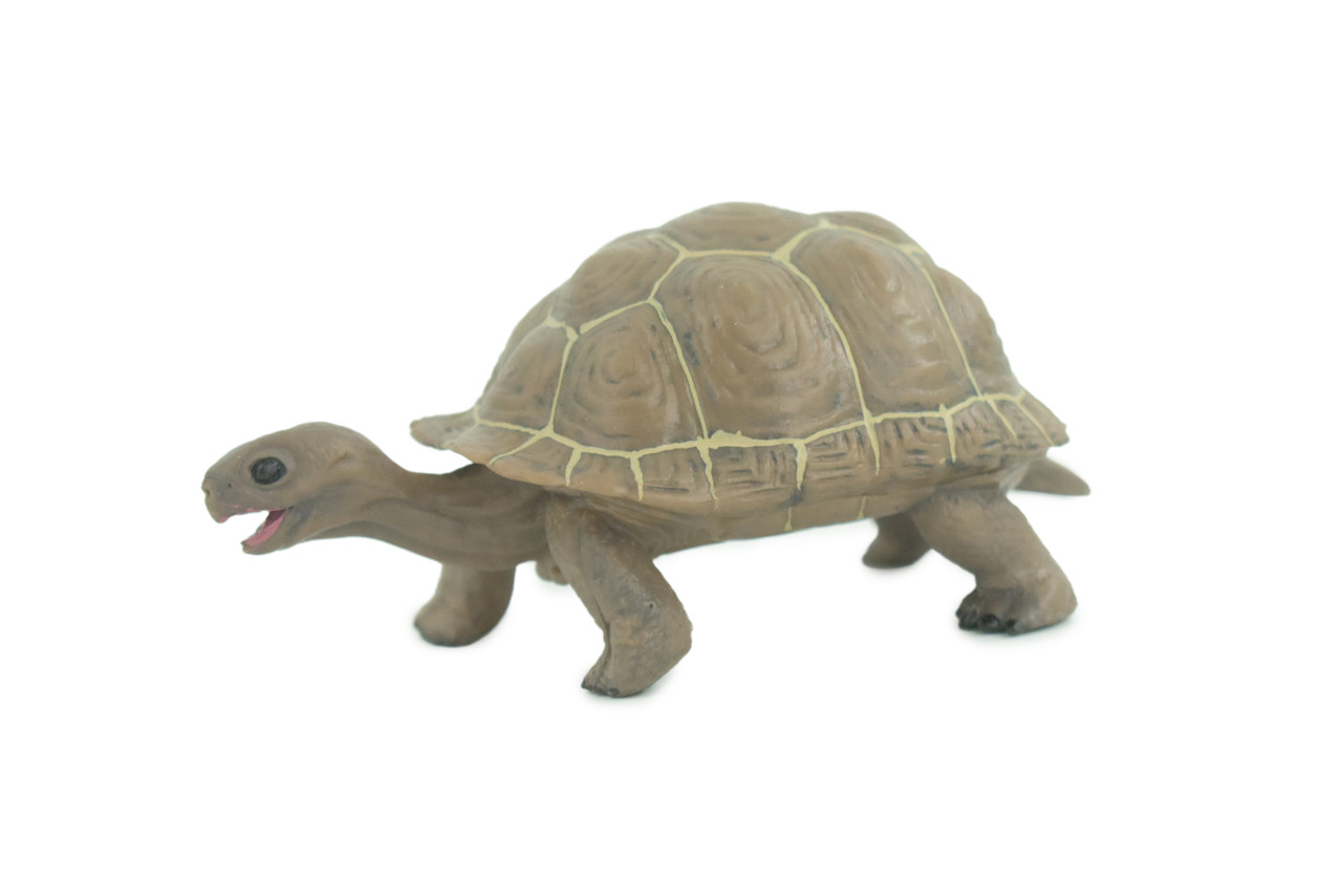 Tortoise, Museum Quality, Educational, Hand Painted, Rubber, Galapagos Giant Tortoise, Realistic Reptile, Diorama, Toy, Kids, Gift, 5 Inches. CH818 BB189