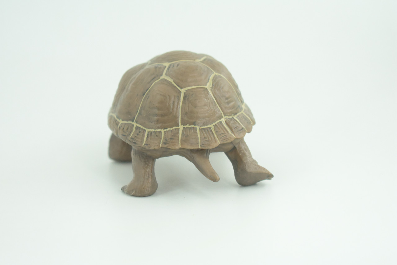 Tortoise, Museum Quality, Educational, Hand Painted, Rubber, Galapagos Giant Tortoise, Realistic Reptile, Diorama, Toy, Kids, Gift,   5 Inches.  CH818 BB189