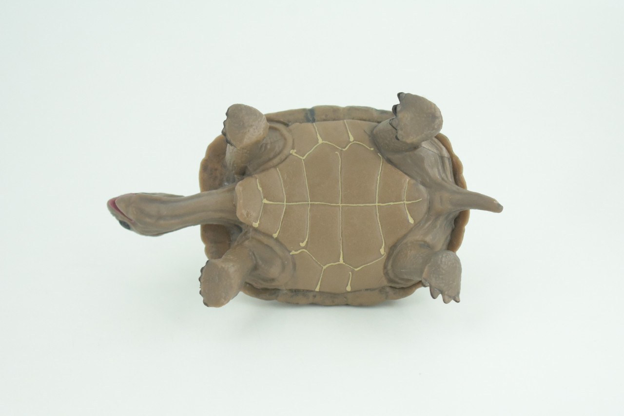 Tortoise, Museum Quality, Educational, Hand Painted, Rubber, Galapagos Giant Tortoise, Realistic Reptile, Diorama, Toy, Kids, Gift,   5 Inches.  CH818 BB189