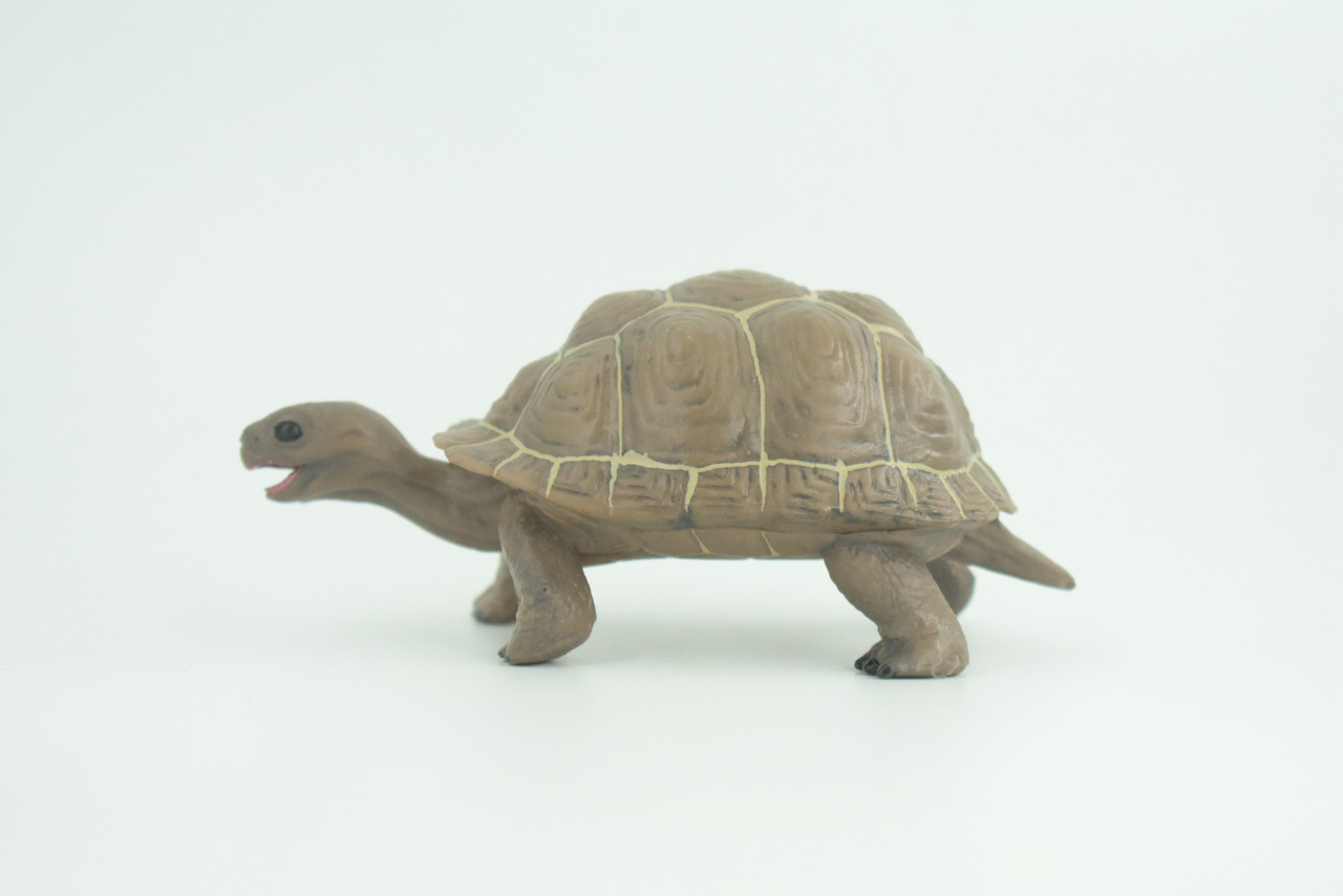 Tortoise, Museum Quality, Educational, Hand Painted, Rubber, Galapagos Giant Tortoise, Realistic Reptile, Diorama, Toy, Kids, Gift,   5 Inches.  CH818 BB189
