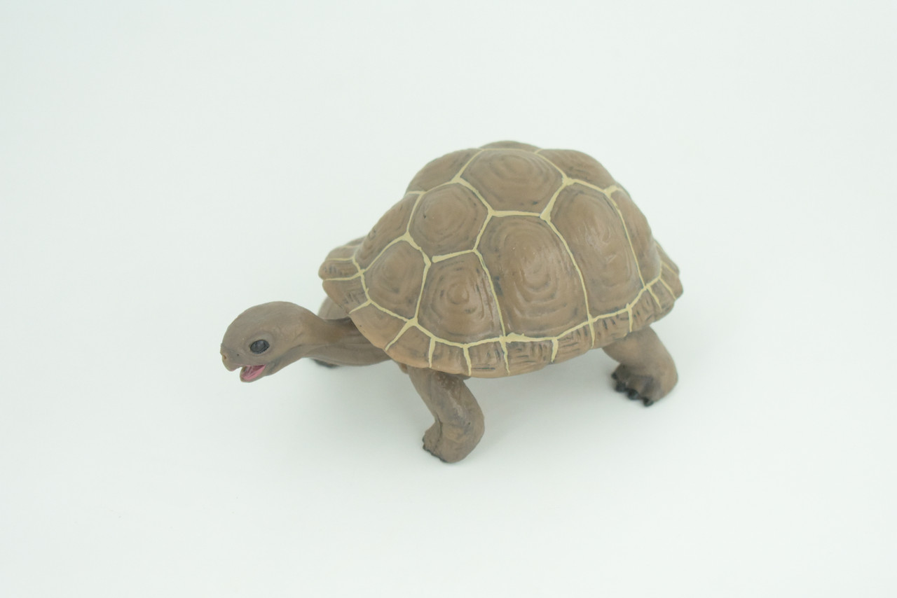Tortoise, Museum Quality, Educational, Hand Painted, Rubber, Galapagos Giant Tortoise, Realistic Reptile, Diorama, Toy, Kids, Gift,   5 Inches.  CH818 BB189