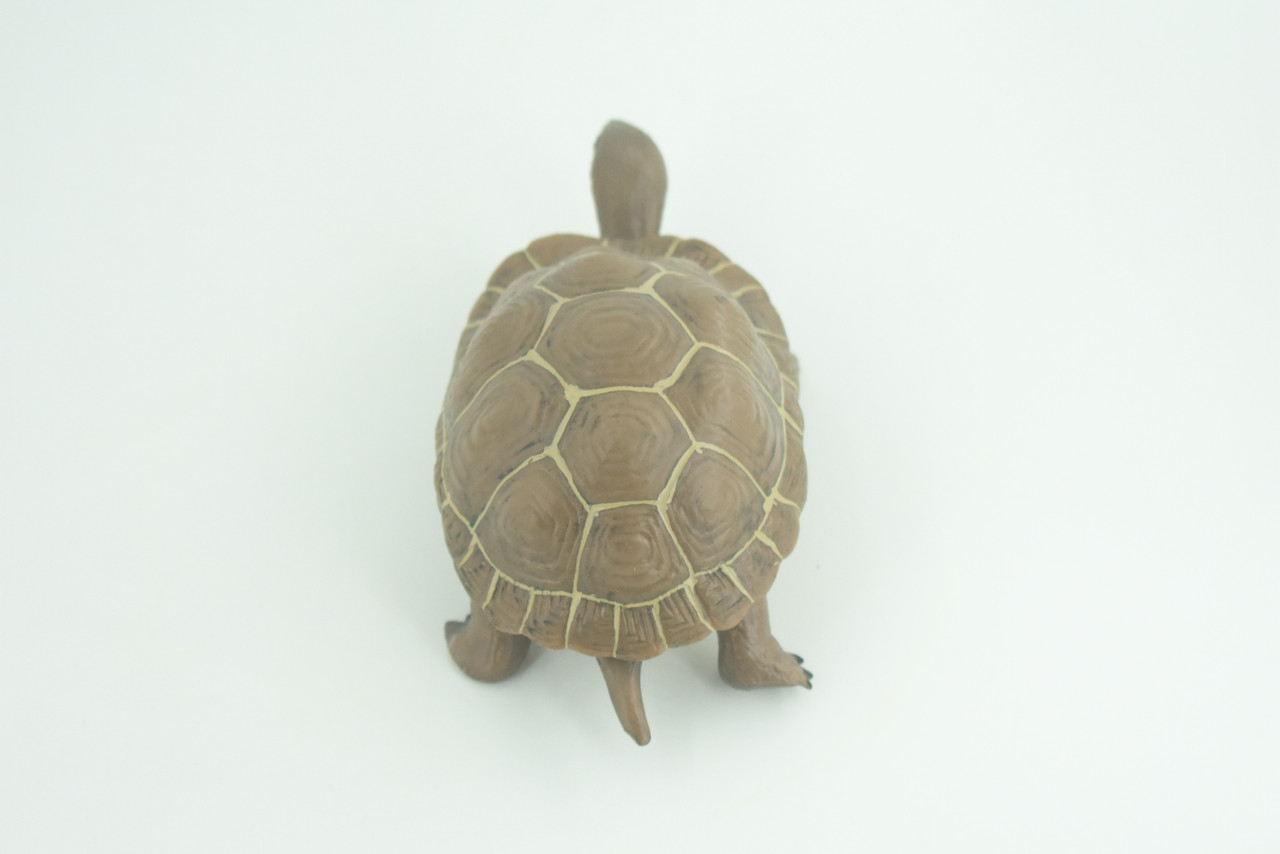 Tortoise, Museum Quality, Educational, Hand Painted, Rubber, Galapagos Giant Tortoise, Realistic Reptile, Diorama, Toy, Kids, Gift,   5 Inches.  CH818 BB189