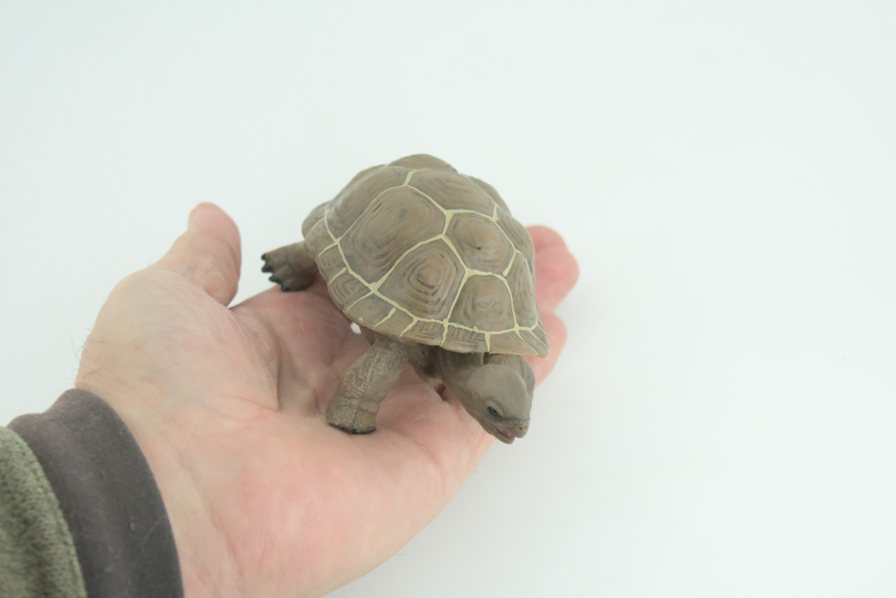 Tortoise, Museum Quality, Educational, Hand Painted, Rubber, Galapagos Giant Tortoise, Realistic Reptile, Diorama, Toy, Kids, Gift, 5 Inches. CH818 BB189