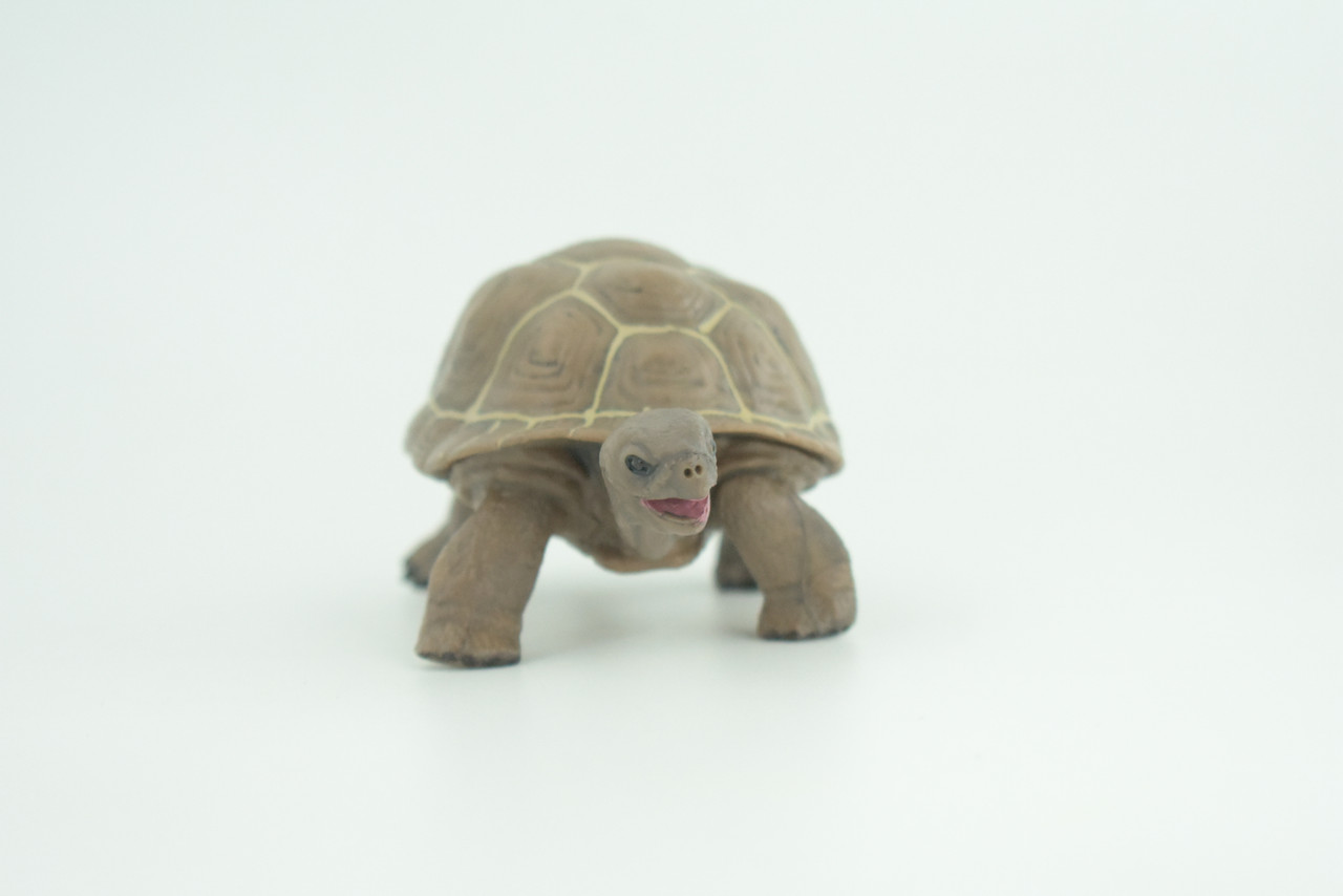Tortoise, Museum Quality, Educational, Hand Painted, Rubber, Galapagos Giant Tortoise, Realistic Reptile, Diorama, Toy, Kids, Gift,   5 Inches.  CH818 BB189