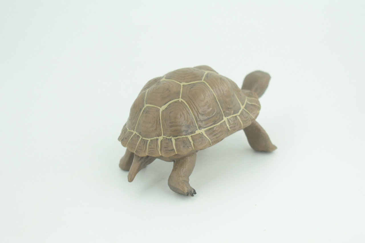 Tortoise, Museum Quality, Educational, Hand Painted, Rubber, Galapagos Giant Tortoise, Realistic Reptile, Diorama, Toy, Kids, Gift,   5 Inches.  CH818 BB189
