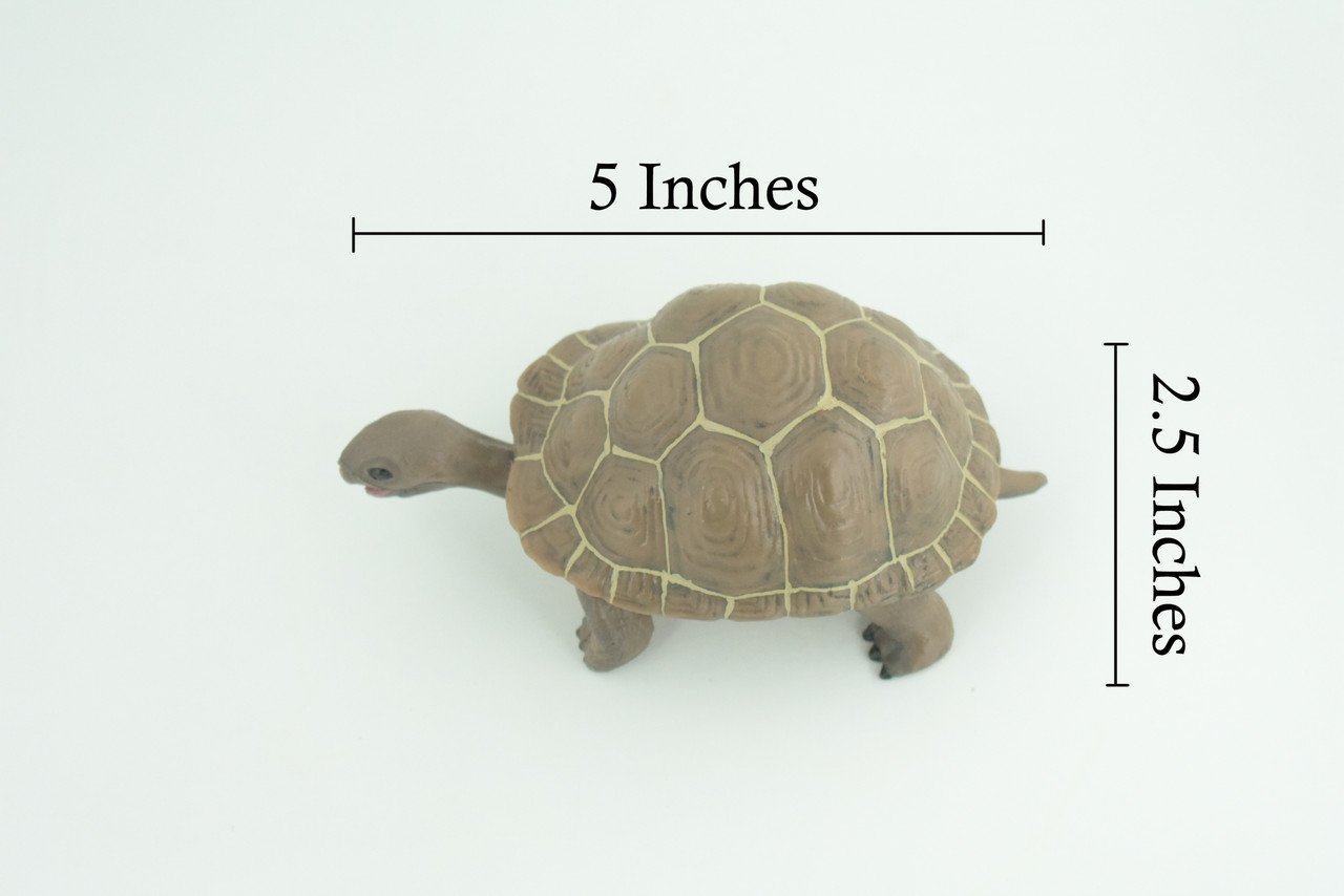 Tortoise, Museum Quality, Educational, Hand Painted, Rubber, Galapagos Giant Tortoise, Realistic Reptile, Diorama, Toy, Kids, Gift, 5 Inches. CH818 BB189