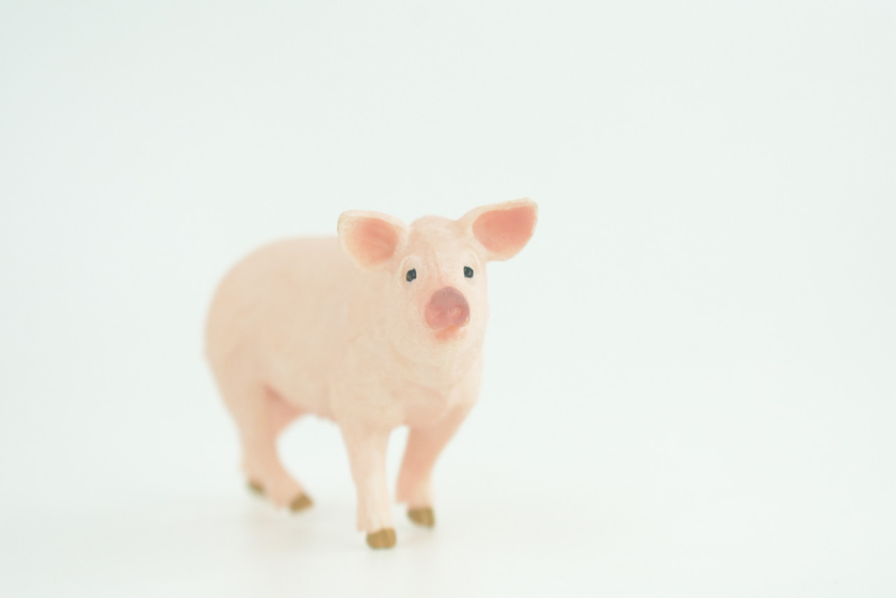 Pig, Sow, Museum Quality, Educational, Hand Painted, Rubber Animal, Female Pig, Realistic, Diorama, Toy, Kids, Gift,  4  Inches.  CH819 BB189 