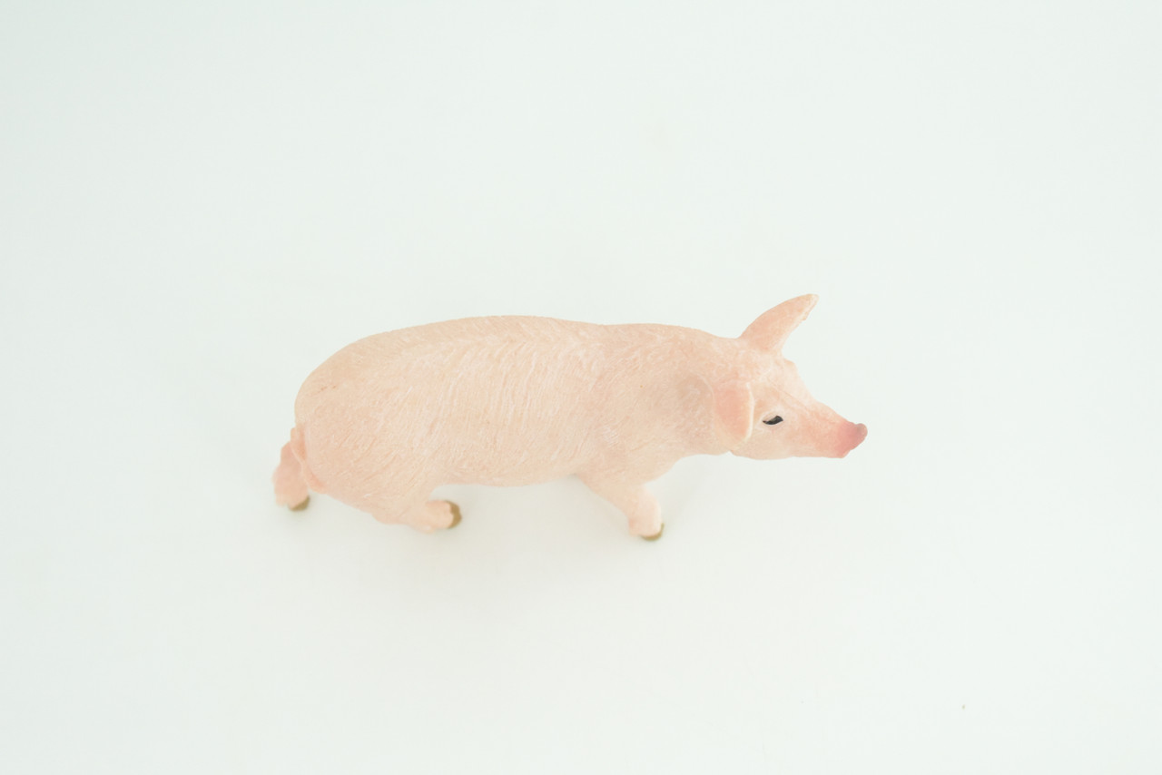 Pig, Sow, Museum Quality, Educational, Hand Painted, Rubber Animal, Female Pig, Realistic, Diorama, Toy, Kids, Gift,  4  Inches.  CH819 BB189 