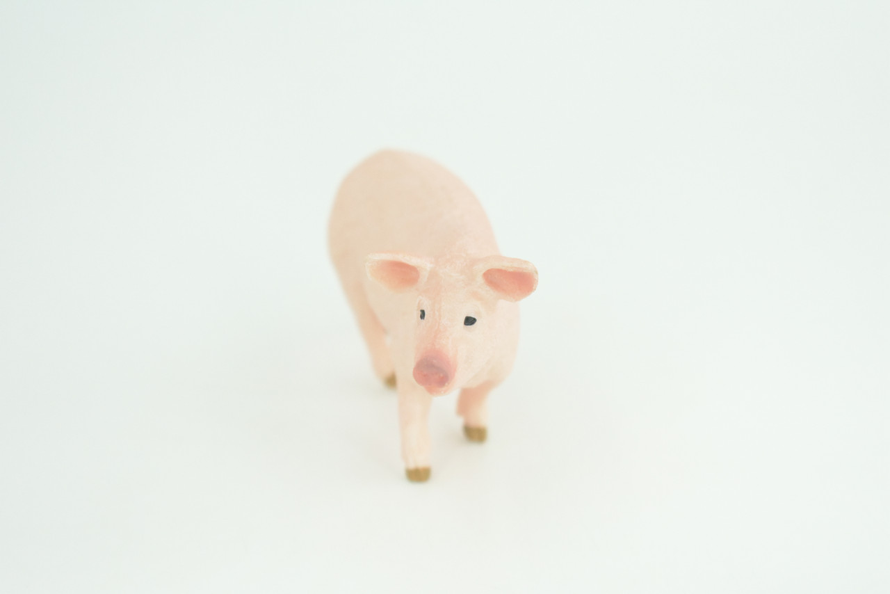Pig, Sow, Museum Quality, Educational, Hand Painted, Rubber Animal, Female Pig, Realistic, Diorama, Toy, Kids, Gift,  4  Inches.  CH819 BB189 