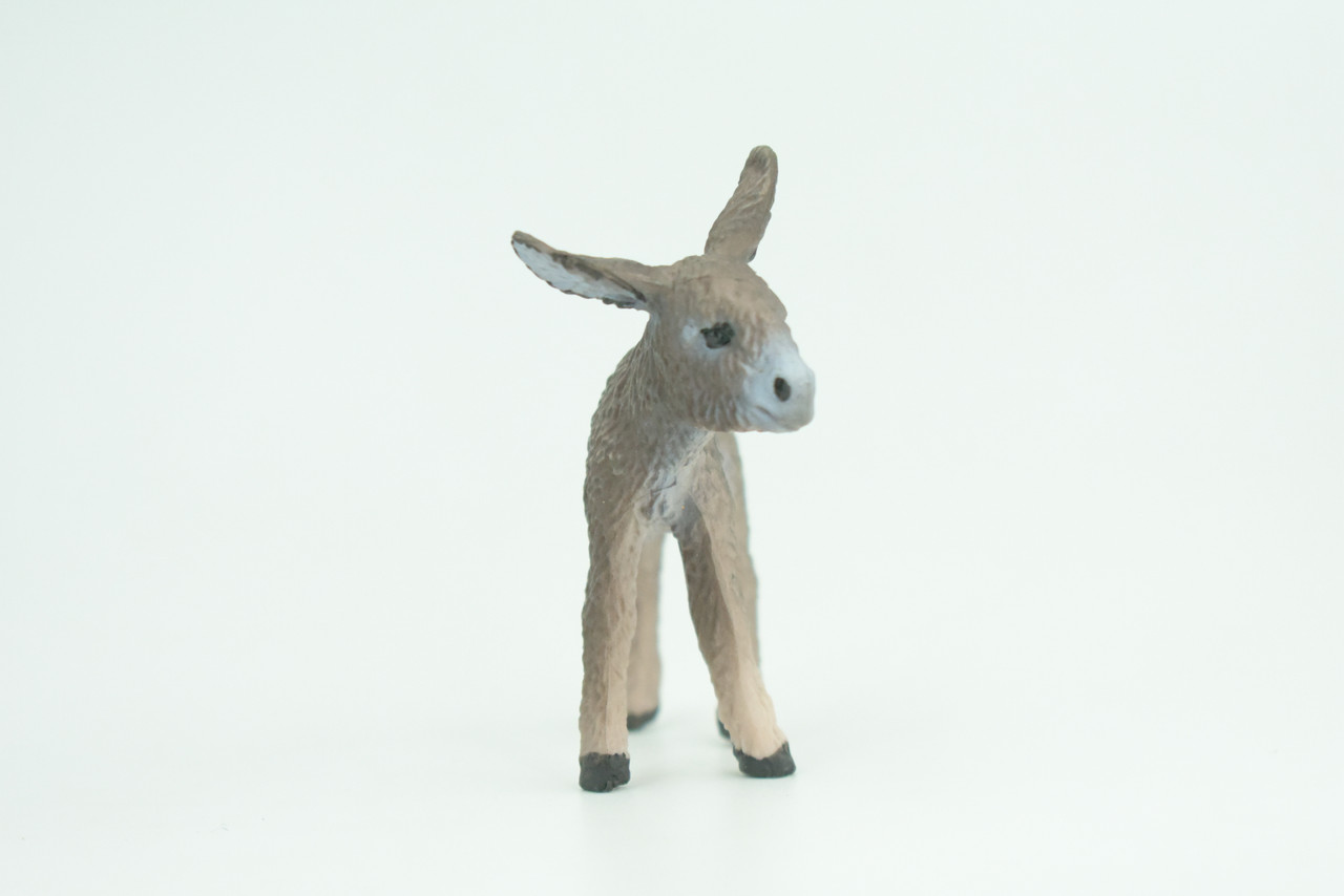 Donkey Baby, Hand Painted, Museum Quality, Educational, Rubber Animal, Donkey foal, Very Realistic, Diorama, Toy, Kids, Gift,  2 1/2 Inches.  CH821 BB194 