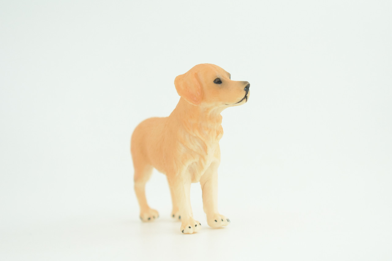Golden Retriever Dog, Hand Painted, Educational, Museum Quality, Rubber Canine, Realistic, K9, Diorama, Toys, Kids, Gift,   3 1/2 Inches.  CH822 BB194