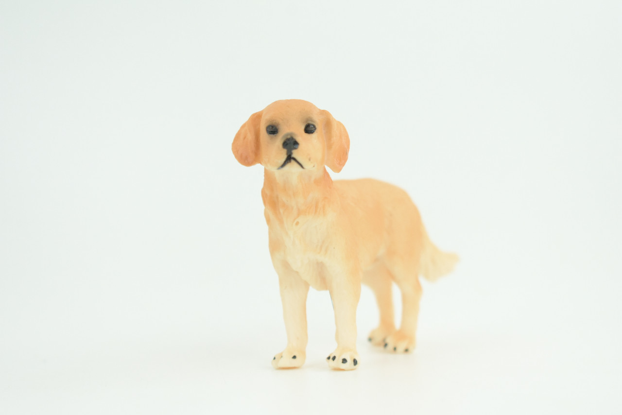 Golden Retriever Dog, Hand Painted, Educational, Museum Quality, Rubber Canine, Realistic, K9, Diorama, Toys, Kids, Gift,   3 1/2 Inches.  CH822 BB194