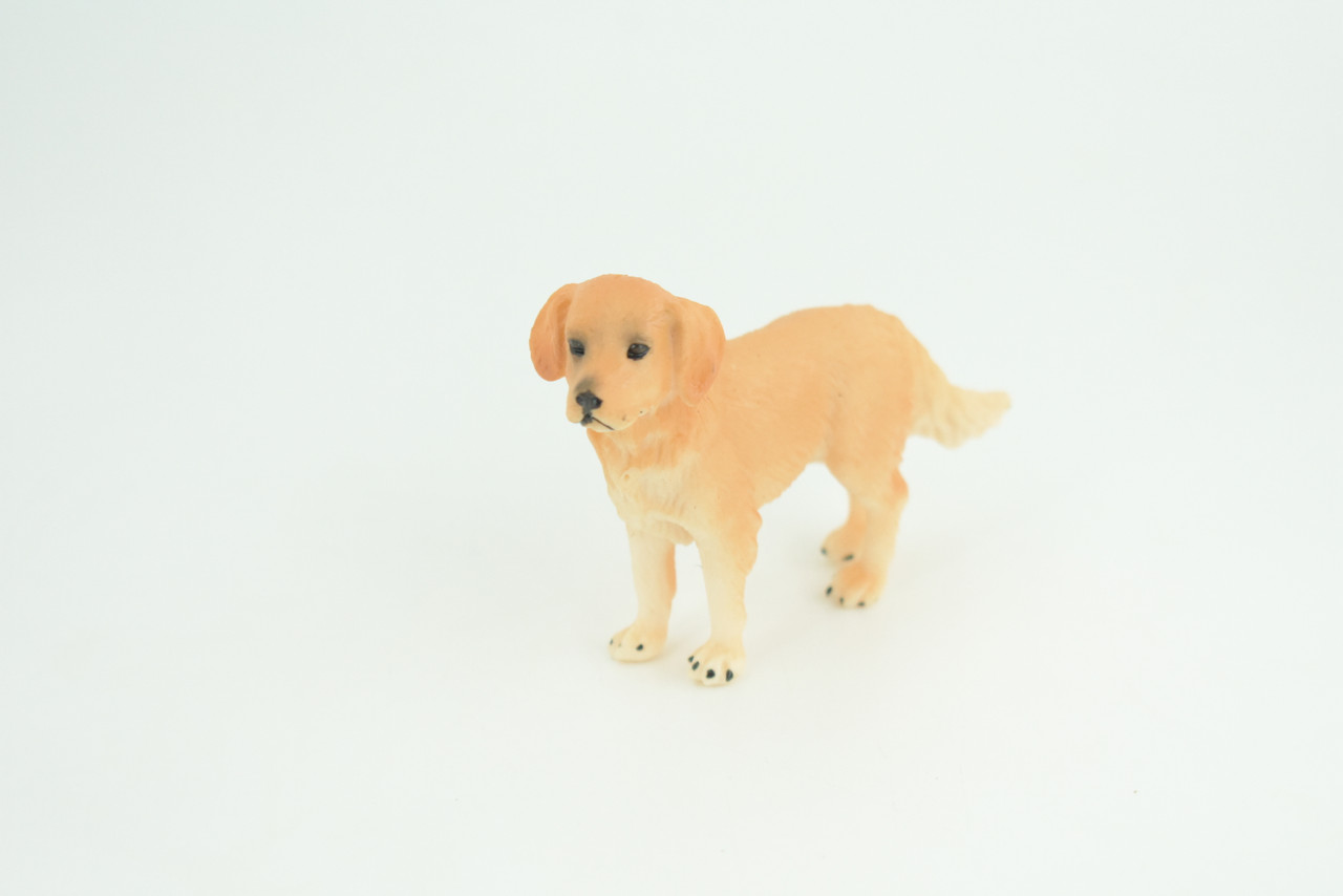 Golden Retriever Dog, Hand Painted, Educational, Museum Quality, Rubber Canine, Realistic, K9, Diorama, Toys, Kids, Gift,   3 1/2 Inches.  CH822 BB194
