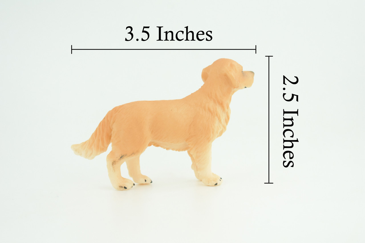 Golden Retriever Dog, Hand Painted, Educational, Museum Quality, Rubber Canine, Realistic, K9, Diorama, Toys, Kids, Gift, 3 1/2 Inches. CH822 BB194
