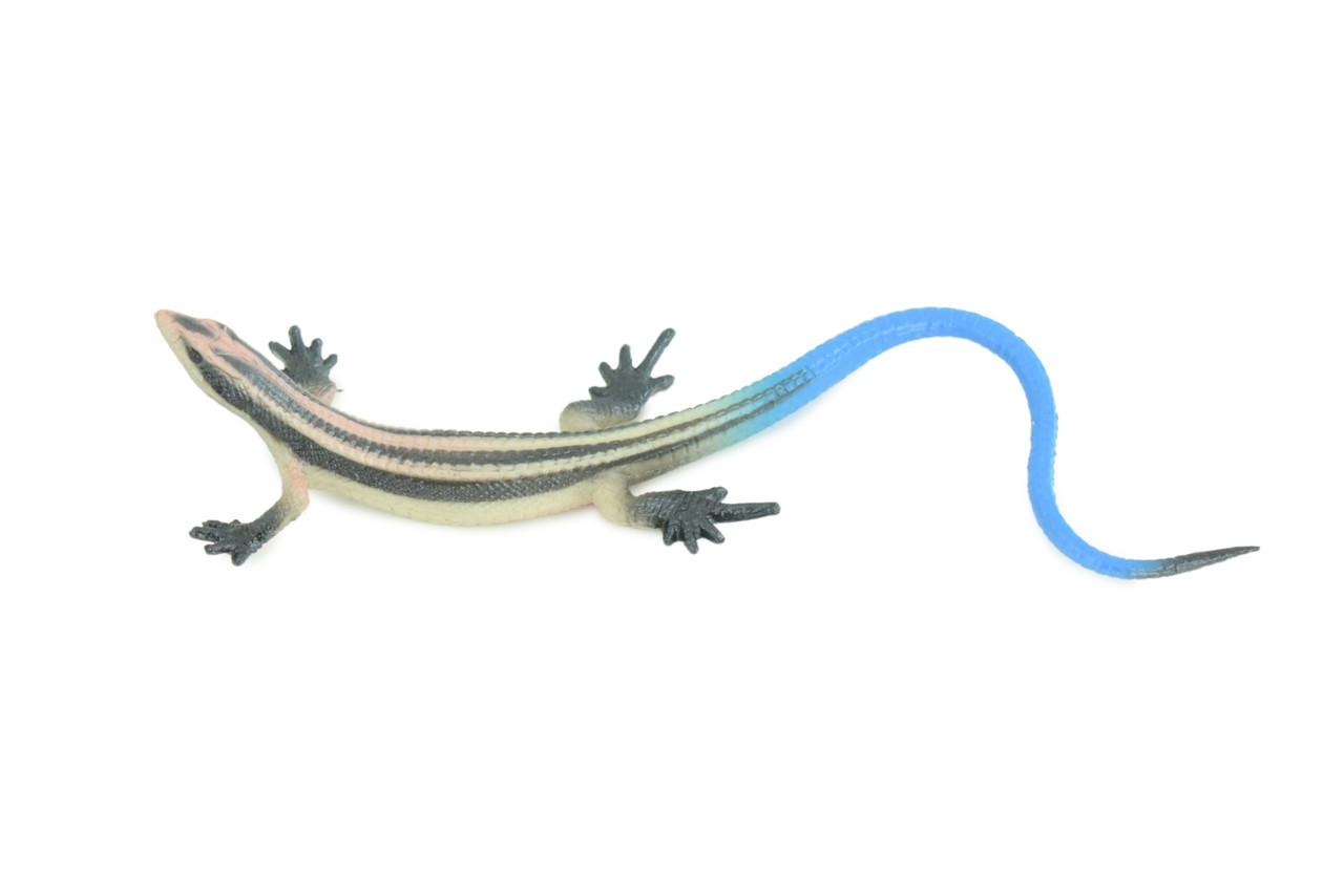 Blue-Tailed Skink, Lizard, Museum Quality, Hand Painted Reptiles, Educational, Rubber Reptile, Realistic, Diorama, Toys, Kids, Gift, 5 Inches. CH824 BB194